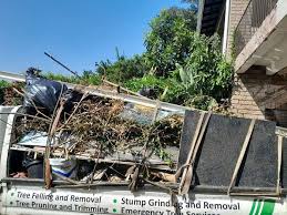 Best Recycling Services for Junk  in Avon, IN